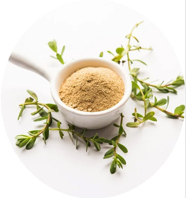 Bacopa Monnieri Extract